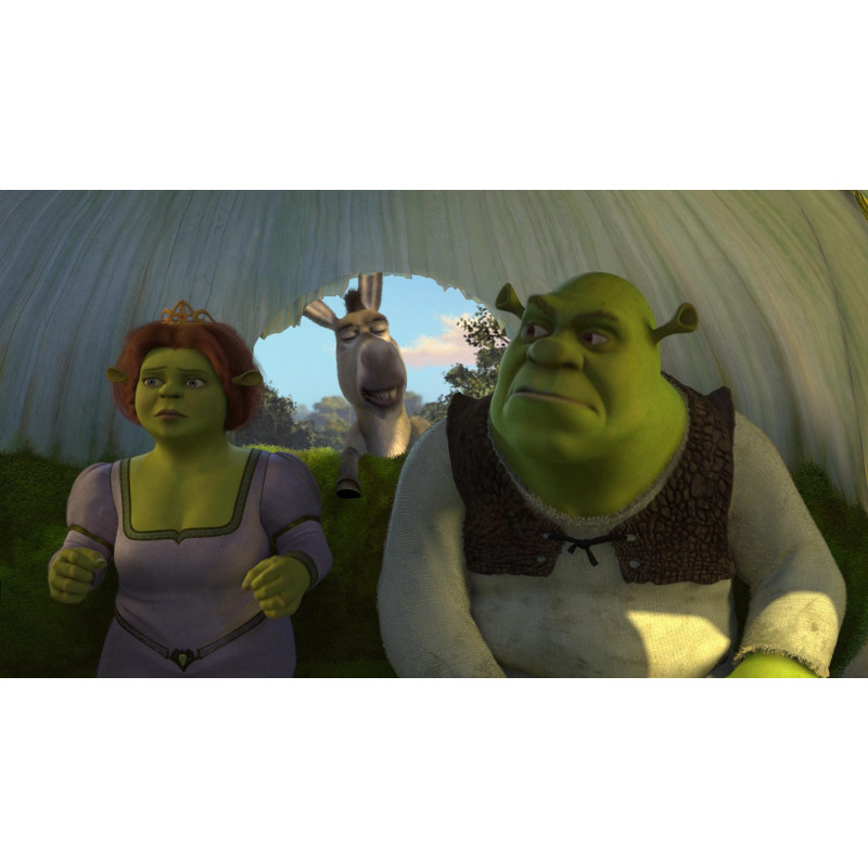 NERD 40 - Shrek! 😂😂😂  #shrek #burro #shrek2 #animation #nerd_40  #fiona #princesafiona #shrekfiona #dreamworks #gatodebotas #eddiemurphy  #camerondiaz #mikemyers #lordefarquaad #homembiscoito #pinocchio #robinhood  #vincentcassel