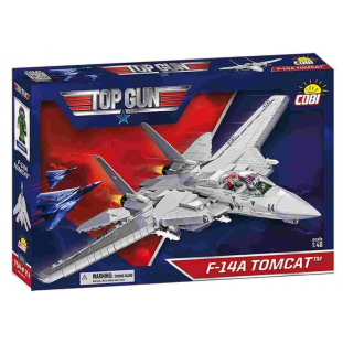 Top Gun (F-14A Tomcat)