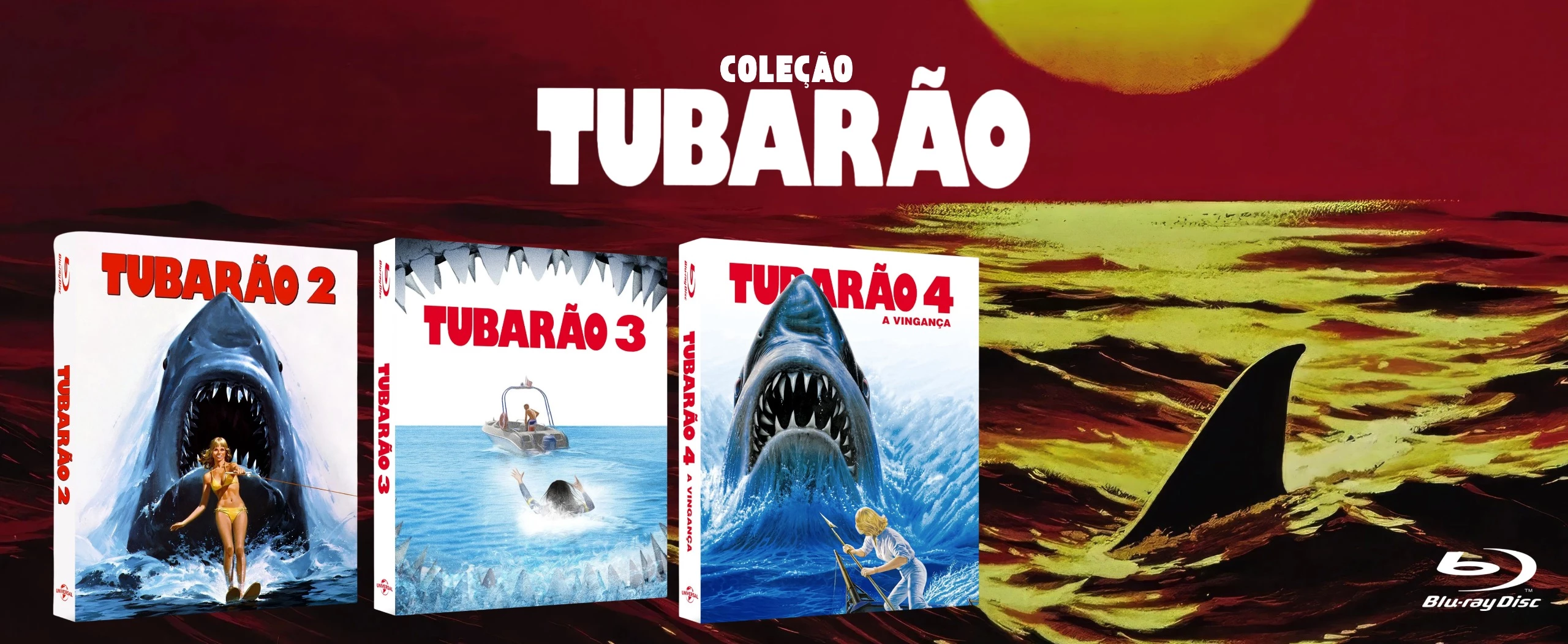 tubarão