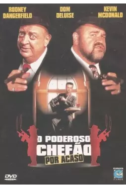 DVD - O Poderoso Chefão Por Acaso