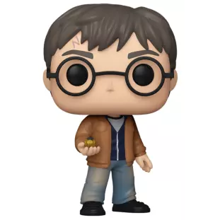 Funko Pop! Harry Potter 196 - Edição Comemorativa de 20 Anos