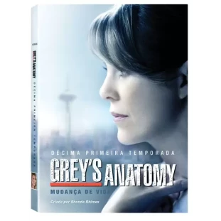 Grey´s Anatomy - 11ª Temporada Completa