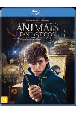 Blu-ray - Animais Fantásticos e Ondem Habitam (Com 2 cartelas de imãs)