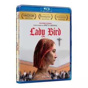 Blu-ray - Lady Bird - A Hora de Voar (Saoirse Ronan - Lucas Hedges - Timothée Chalamet - Stephen McKinley Henderson)
