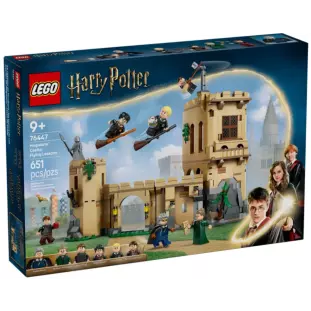LEGO - Harry Potter 76447 - Castelo de Hogwarts: Aulas de Voo