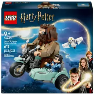 LEGO - Harry Potter - Passeio de Motocicleta de Hagrid e Harry (76443)