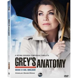 Grey´s Anatomy - 12ª Temporada Completa